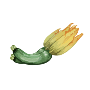 Courgette with a flower