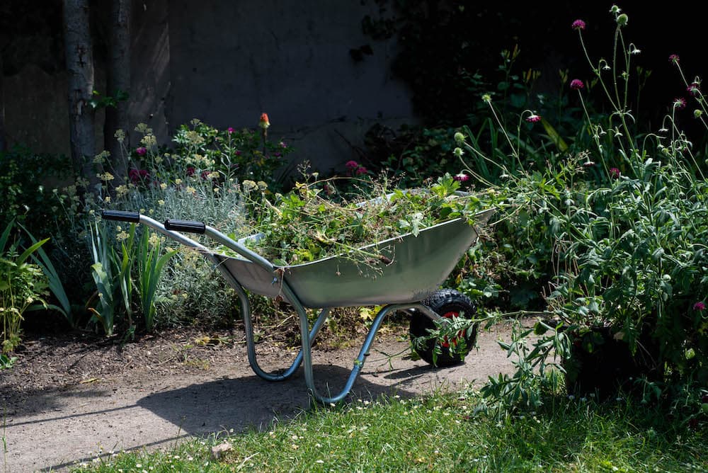 A wheelbarrow filled with garden waste